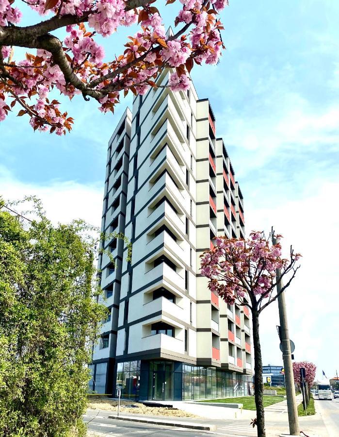 Velvet Home ทิมิชัวรา ภายนอก รูปภาพ